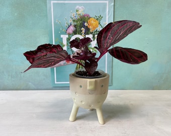 Mini bloempot in lichtgeel met grappig gezicht, staat op drie pootjes, handgemaakt keramiek, plantenbak, uniek, plantenpot