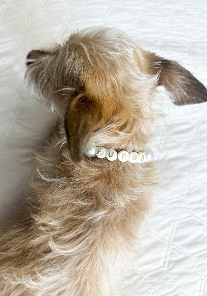 doggie accessories, best gift for dogs, collar girls, pet jewelry dog, necklaces for doggies, bead pet tag, glam dog accessories, cat necklaces, pet lover, pet wedding, formal dog collar, Party Collar, fur baby beads, yorkie, poodle, chihuahua, pug