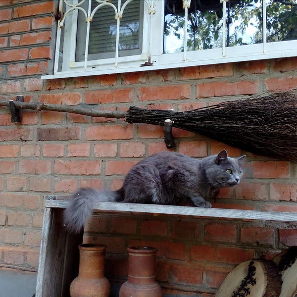 Natural Witch Broom, Halloween Pagan broom besom