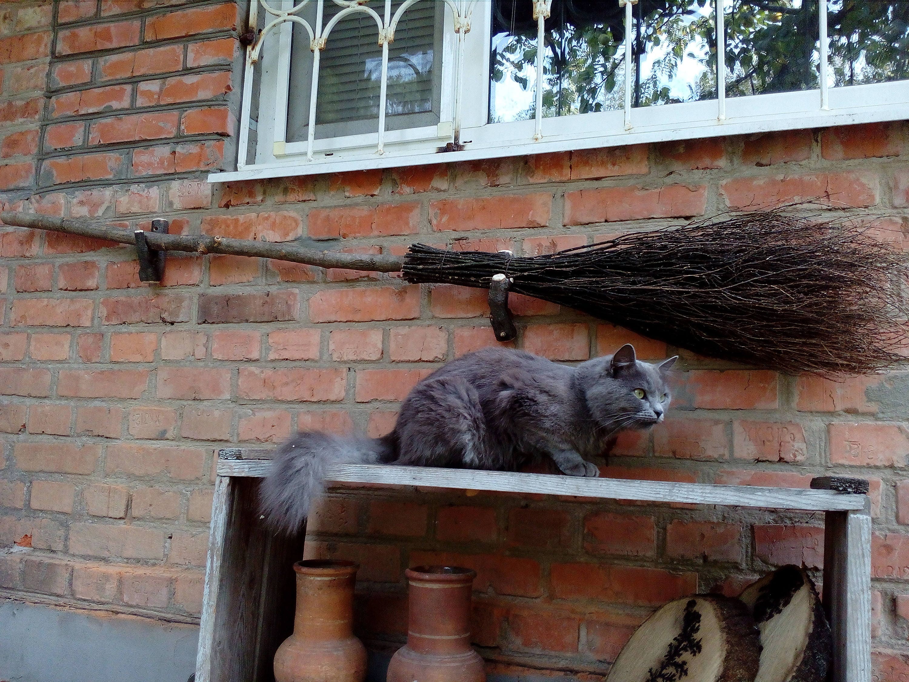 Natural Witch Broom, Halloween Pagan broom besom