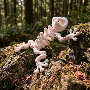 May include: A white, articulated, skeletal frog figurine with a segmented spine and limbs, featuring a hollow head and distinct toe pads, positioned in a climbing pose with its limbs extended across a textured, mossy rock surface.