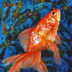 Goldfish fine art print - swimming goldfish art- goldfish wall decor - Midas Rising  - fish lover gift - by  Michelle Gilks