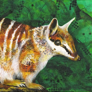 Impressão de belas artes de Numbat - Arte animal nativa australiana - retrato de Numbat - Presente para parentes no exterior - arte de conservação - por Michelle Gilks