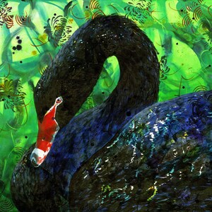 Black Swan - fine art print  - Australian bird art print - swan fine art reproduction - swan portrait - archival print - by Michelle Gilks