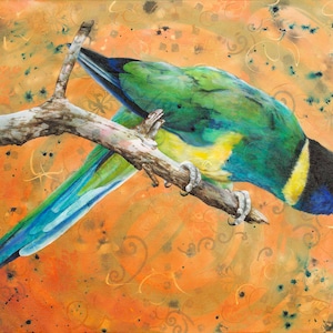 28 parrot fine art print - Australian parrot art - Australian ring neck parrot wall art - Australian bird- gift for bird lover