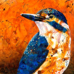 Kingfisher original art print - Australian bird - kingfisher portrait - modern bird art - gift for bird lover - by Michelle Gilks