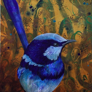 Blue Wren fine art print - spendid fairy wren - Australian bird art - by Michelle Gilks