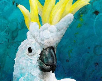 Sulphur crested cockatoo art poster - cockatoo portrait - Australian bird art - Australian cockatoo portrait - poster size print