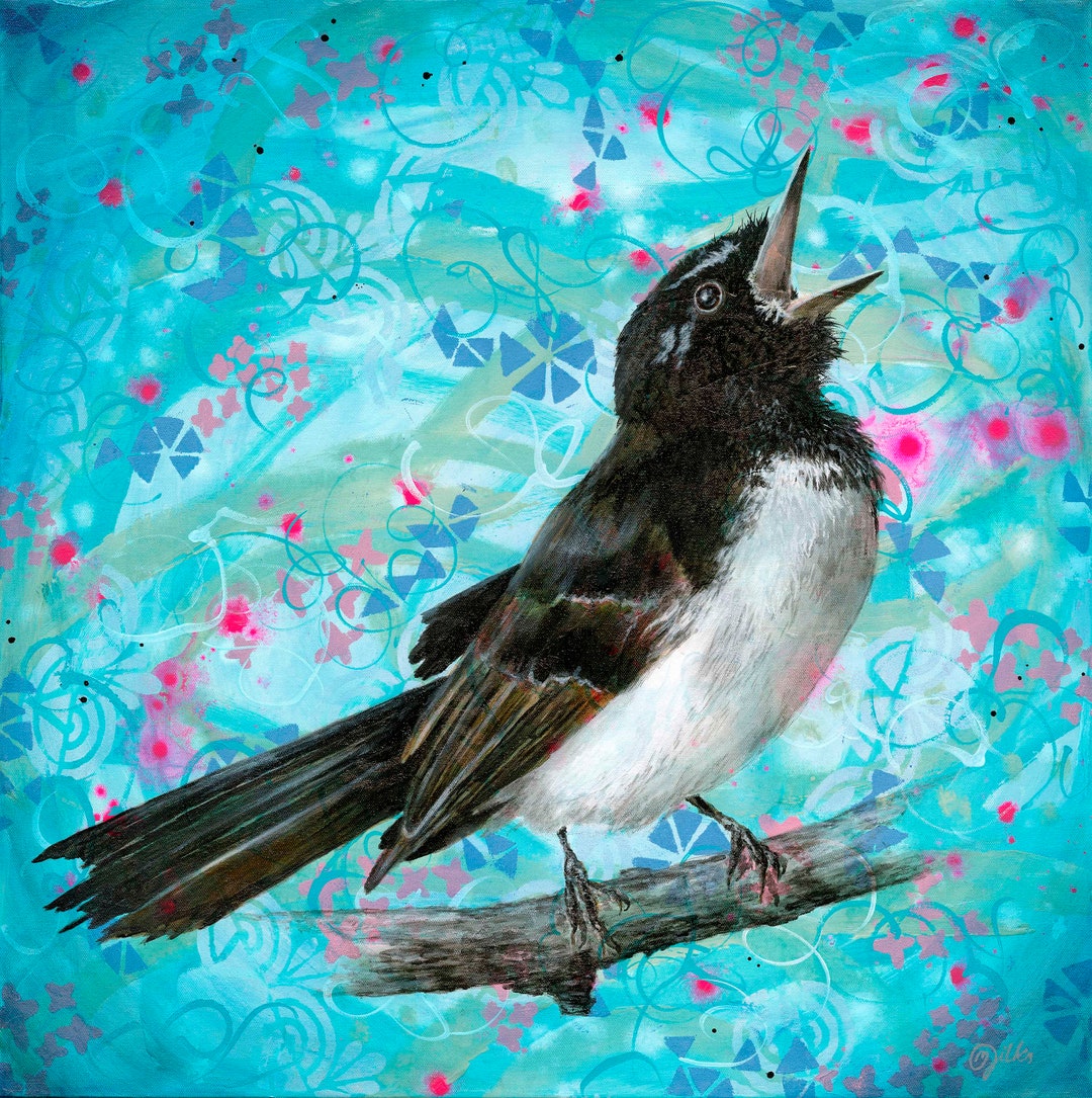 Willie Wagtail Fine Art Print Wagtail Art Australian Bird Art Australian Djiti Djiti Print on