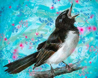 Impressão artística de Willie Wagtail – Pintura acrílica de pássaro australiano