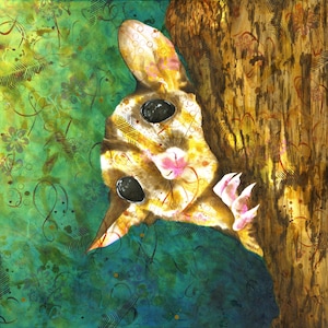 Sugar Glider fine art print - gliding possum print - Sugar glider portait - Australian animal art - bush animal - by Michelle Gilks