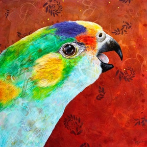 Cowara parrot fine art print - parrot portrait - Australian bird art - Purple crested lorikeet - print on paper