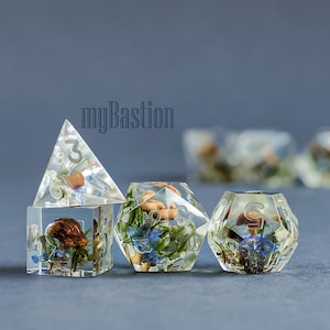 Druid dice set rpg dice DnD Dice with real mushrooms D&D dice Playing dice set for RPG game Dungeons and dragons
