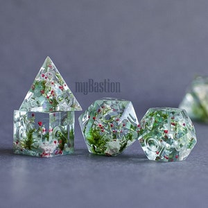 Può includere: Un set di quattro dadi in resina trasparente con inclusioni botaniche. I dadi presentano muschio verde, piccole bacche rosse e dettagli bianchi. I dadi hanno la forma di un cubo, una piramide, un dado a 12 facce e un dado a 20 facce.