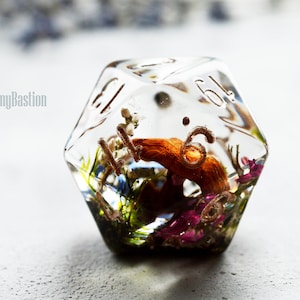 Mushrooms giant d20 dice mega d20 rpg dice DnD Dice with real mushrooms D&D dice Playing dice D20 for RPG game Dungeons and dragons