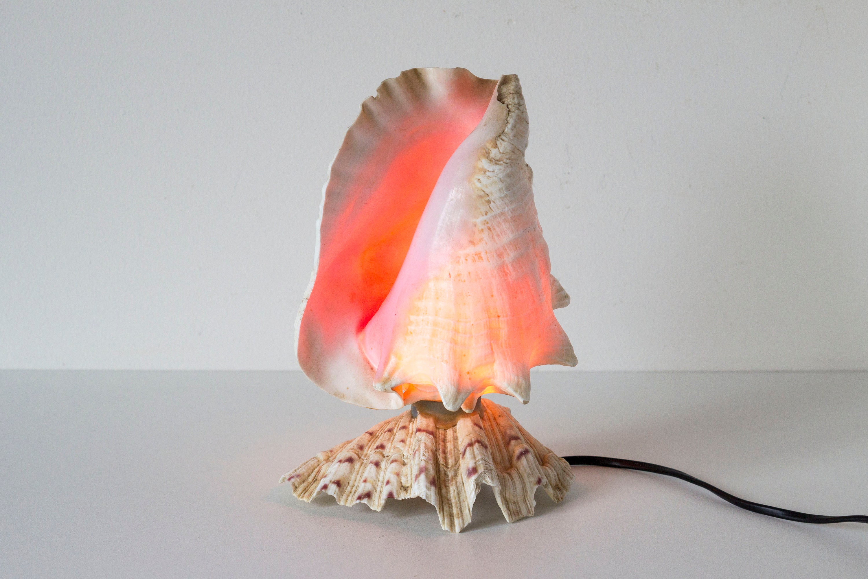 Conch on sale shell lamp