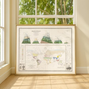 May include: A framed vintage map of the world, titled "Botanical Geography," with detailed illustrations and a color-coded legend. The map is in a gold frame and is displayed in front of a window with a view of green trees.