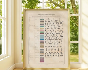 Può includere: Una stampa vintage incorniciata intitolata "TABLEAU CHRONOLOGIQUE" con una cornice dorata. La stampa mostra una dettagliata linea temporale geologica con illustrazioni di vari animali, fossili e strati geologici. La stampa è appoggiata a una finestra.