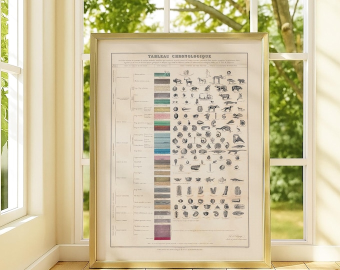 Vintage Geological Chart Print | Antique Tableau Chronologique Wall Art | Educational Science Poster
