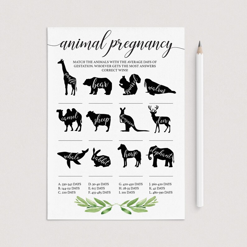 Animal Pregnancy Game Printable Animal Gestation Game Greenery | Etsy
