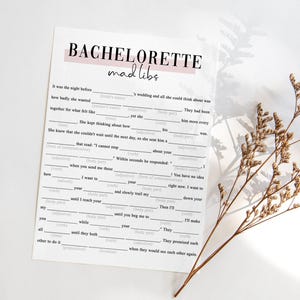 Dirty Bachelorette Mad Libs Game: Minimalist Hen Party (Printable) MB2