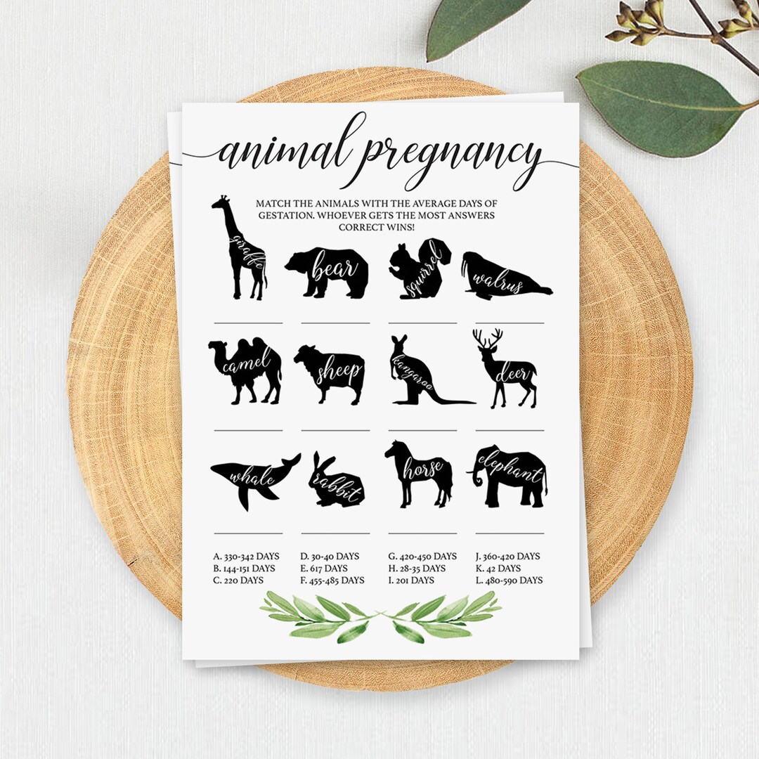 Animal Pregnancy Game Printable Animal Gestation Game Greenery ...