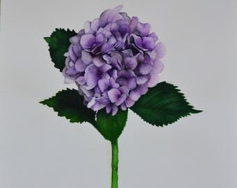 Elegance, original watercolor painting by Meike Geisler; 14" x 20"; single purple hydrangea; purples, grays, pinks, lilacs, greens