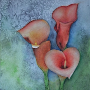 Calla,fine art giclee reproduction of an original watercolor painting by Meike Geisler, 8.75&quot;x11.75&quot;; Peach colored calla lillies