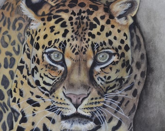 Leopard, fine art giclee reproduction of an original watercolor painting by Meike Geisler, 11.25" x 11.5"