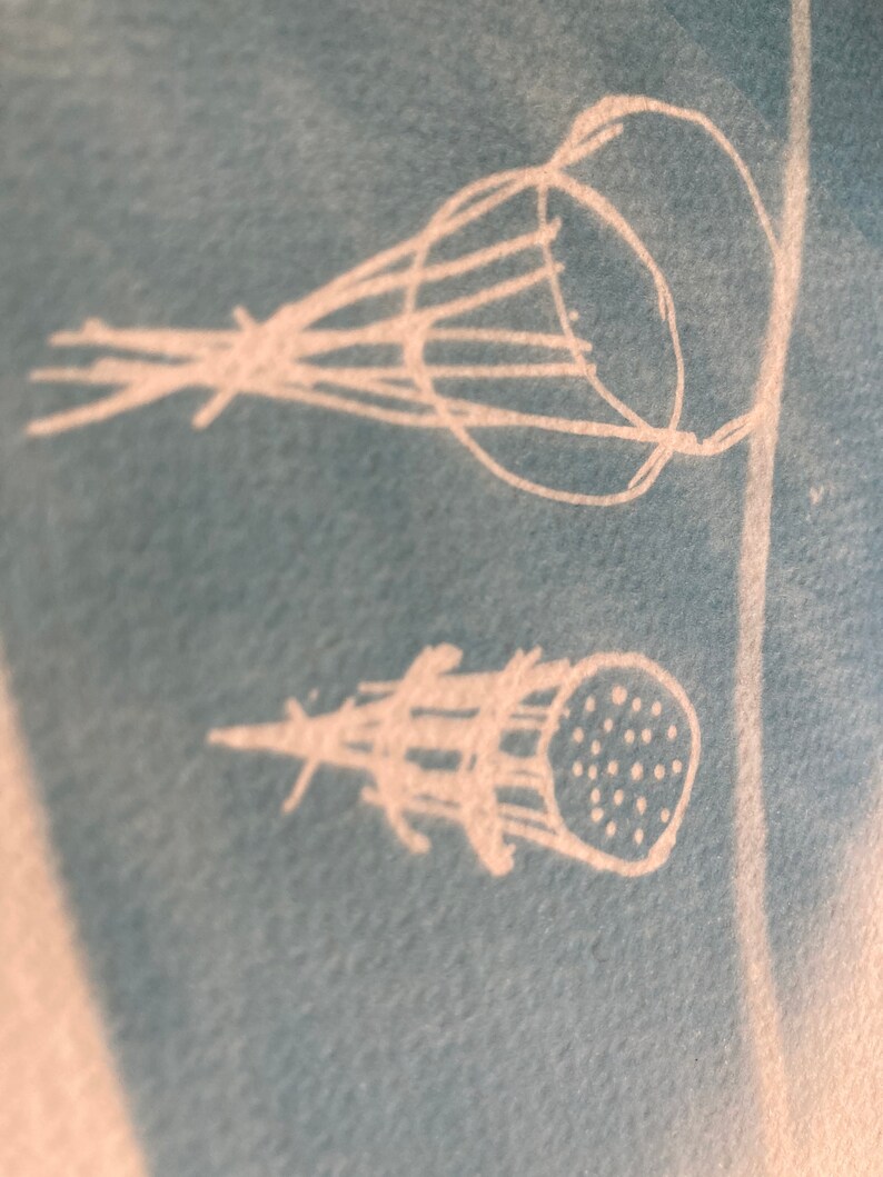 A4 Cyanotype still life 02