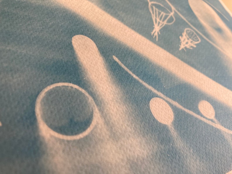 A4 Cyanotype still life 02