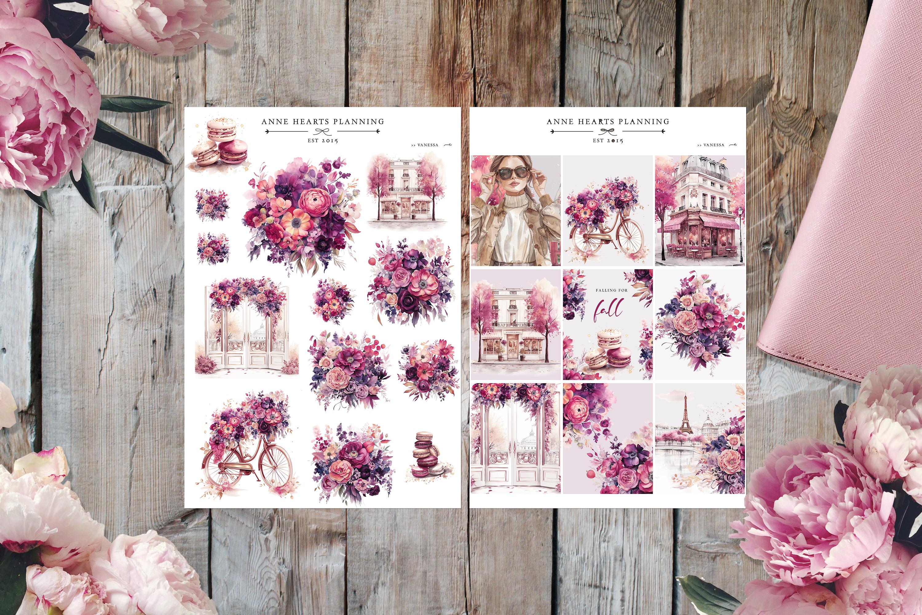 Vanessa-Collection