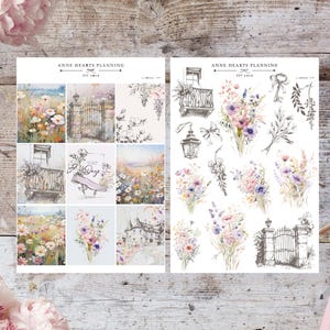 Soleil - Collection