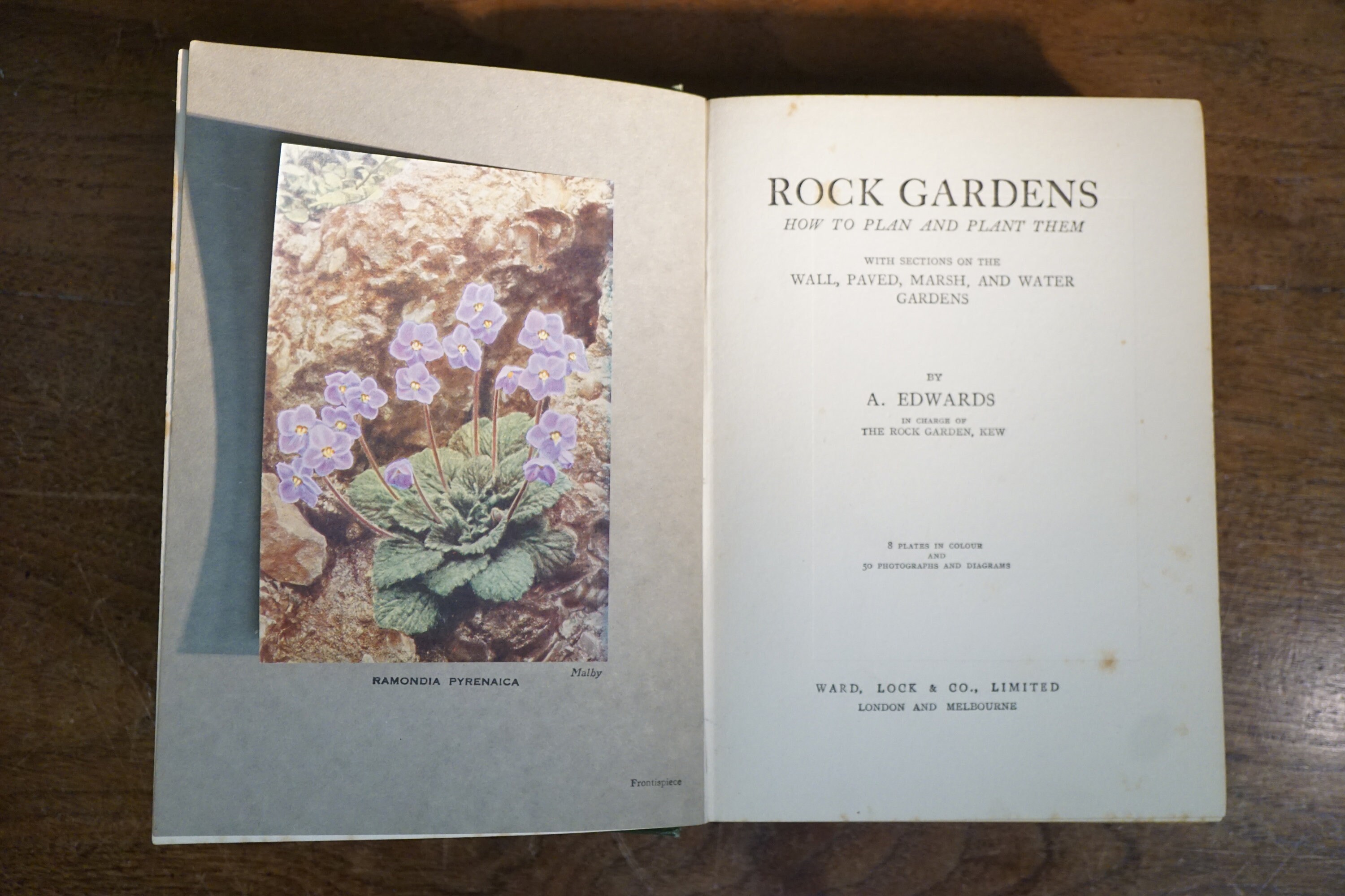 Rock Gardens by A. Edwards C.1920's Antique Botany Book Etsy UK