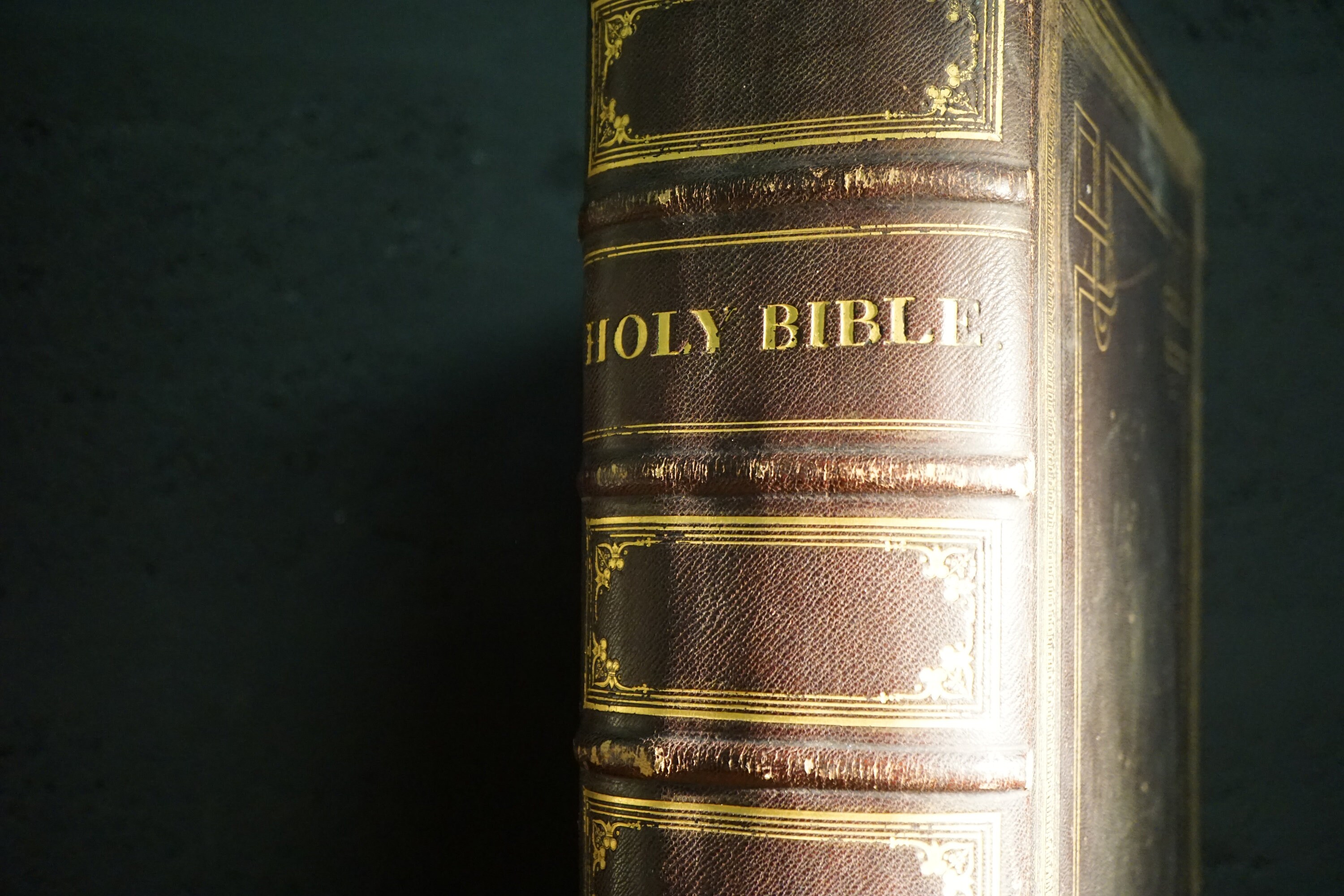 The Imperial Family Bible 1844 Antique Bible Etsy The Imperial Family Bible 1844 Antique Bible Etsy