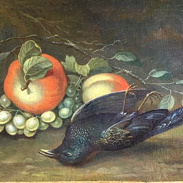 Peinture ancienne française 19 siècle Nature morte au oiseau merle 32 x25 cm signé Gabrin 1870 restaurations huile sur toile