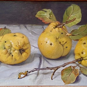 Puede incluir: Una pintura al óleo que representa tres membrillos amarillos texturizados con hojas verdes sobre tallos marrones. Las frutas muestran imperfecciones y manchas naturales. Una pequeña oruga se arrastra por una rama desnuda. Firmado A.H.