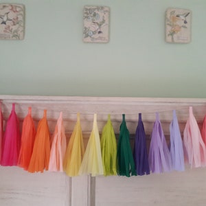 Rainbow tassel garland/ Custom colors available upon request