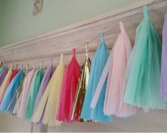 Pretty party tassel garland/ custom colors available