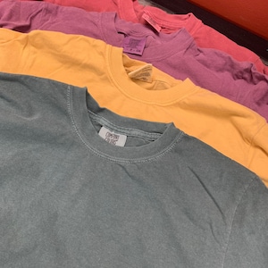 Floral embroidered t-shirt
comfort colors tshirt with embroidery
wild flower embroidery tshirts