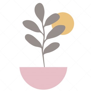 May include: A gray plant with five leaves in a pink half-circle pot with a yellow circle behind the plant.