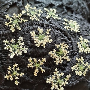 100 stuks witte Queen Anne's Lace. Echte gedroogde bloemen, ambachtelijk voor doe-het-zelf glazen koepel harsvulling, geperste kleine bloem, botanisch materiaal
