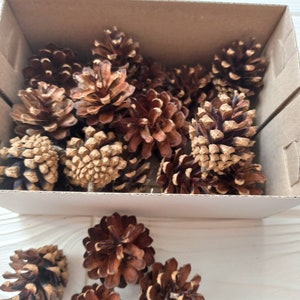 50 piezas de piñas para manualidades, suministros navideños de bricolaje, floristería navideña, manualidades navideñas, coronas de piñas de bricolaje