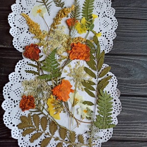 Fleur pressée, Fleurs pour travaux manuels, Art floral pressé, Fleurs pour résine, Fleur séchée, Mélange de fleurs séchées, Fleurs pour cartes, Art en résine