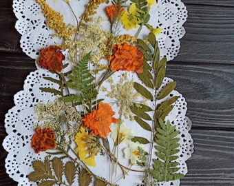 Flores prensadas, flores para manualidades, arte con flores prensadas, flores para resina, flores secas, flores secas mixtas, flores para tarjetas, arte con resina