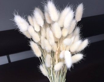 100 White Dried Bunny Tail Grass, Boho Floral Decor (35cm)