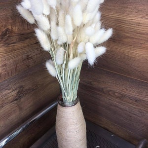 Peut inclure: Un bouquet de queue de lapin séchée blanche dans un vase enveloppé de toile de jute brune.