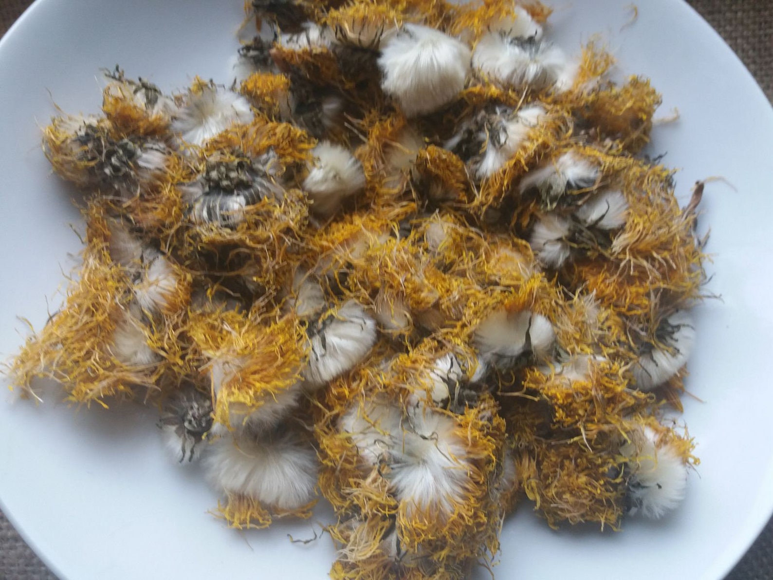 Organic Dried Dandelion Flowersdandelion Flowers Dandelion Etsy