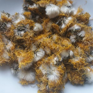 Organic Dried Dandelion Flowers,Dandelion Flowers, Dandelion Flower Tea,Dried Dandelion Flower ,FRESH Dandelion  2023