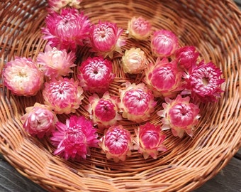 Organic Dried Flowers Heads, Dry  Pink Flowers, Table Floral, Wedding Pink l Decoration, Flower Craft Supply,